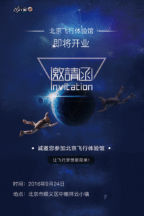 飞行家海报爆料大全最新,揭秘空中英雄的传奇历程  第2张