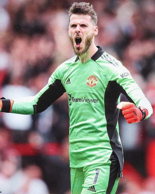 原神德赫亚最新爆料,神秘角色即将登场,游戏剧情再掀波澜 第3张 原神德赫亚最新爆料,神秘角色即将登场,游戏剧情再掀波澜 第3张