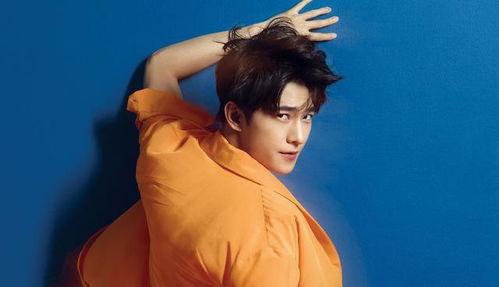 杨洋迪丽热巴最新爆料2024,揭秘明星幕后故事与精彩瞬间 第2张 杨洋迪丽热巴最新爆料2024,揭秘明星幕后故事与精彩瞬间 第2张