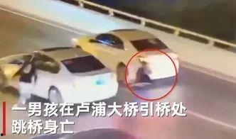 卢浦大桥爆料最新消息,事故原因及现场实况曝光  第3张