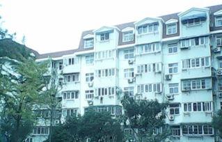 四平二三里最新爆料,最新爆料背后的惊人真相  第3张