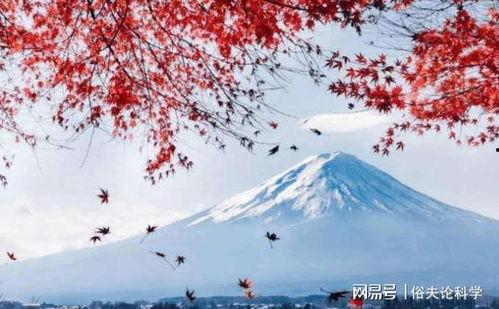 富士山最新爆料视频,壮观景象与神秘传说交织 第3张 富士山最新爆料视频,壮观景象与神秘传说交织 第3张