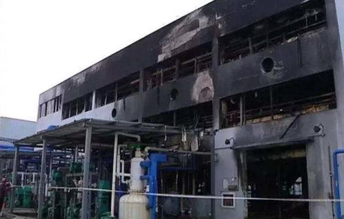 台州临海市爆料事件最新,事件真相逐步浮出水面