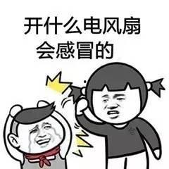 暑假最新爆料事件视频播放,揭秘热门事件幕后真相