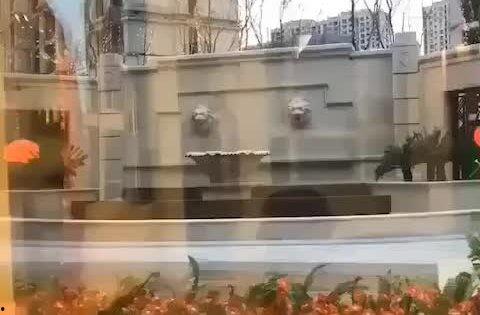 维也纳小区最新爆料大同,大同神秘事件真相揭晓  第3张