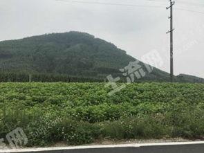 广西土地爆料最新消息