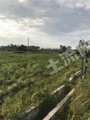 广西土地爆料最新消息  第3张