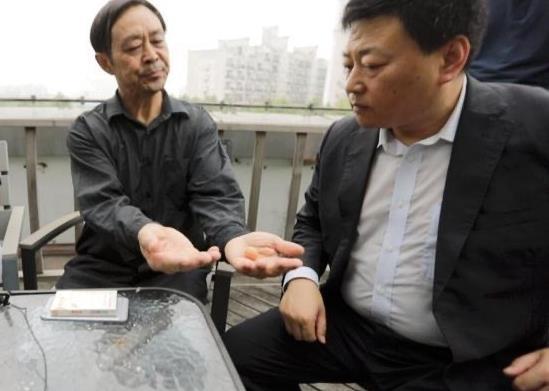 拳击马保国最新爆料,揭秘拳击界惊人内幕  第3张