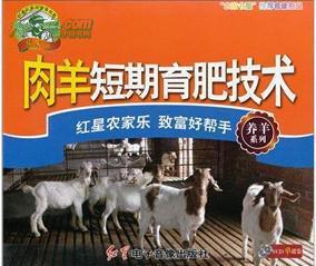 育肥羊爆料视频大全最新,最新爆料视频大全深度解析  第3张