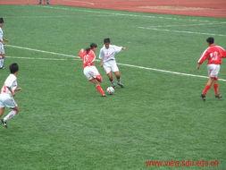 山大后卫爆料新闻视频最新,最新爆料视频背后的真相与内幕