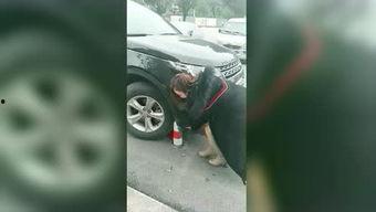 大岭山光头哥爆料视频最新,揭秘事件背后惊人真相 第2张 大岭山光头哥爆料视频最新,揭秘事件背后惊人真相 第2张