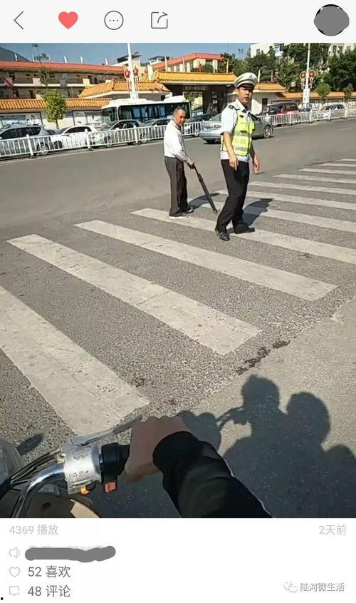 交警叔叔最新爆料,揭秘交通违法行为背后的惊人真相  第2张