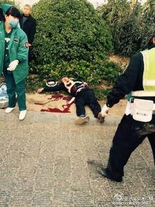 河南交警最新爆料,揭秘交通违法背后的惊人真相