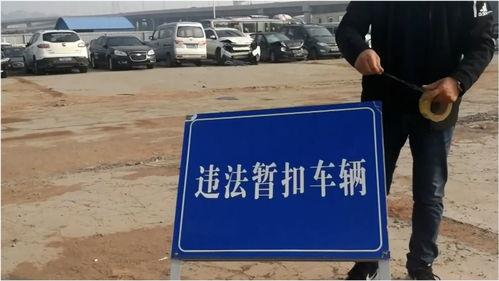 河南交警最新爆料,揭秘交通违法背后的惊人真相  第3张