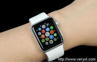 魅族手表最新爆料软件是哪个,搭载神秘软件，引领智能穿戴新潮流