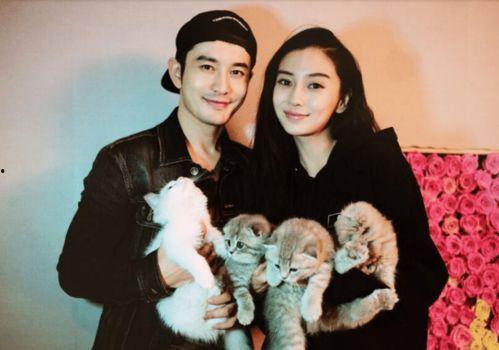 娱乐圈最新爆料三男三女,揭秘背后故事  第3张