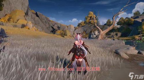 鸣潮皮肤最新爆料,炫酷特效，神秘背景，带你领略东方神话魅力  第2张