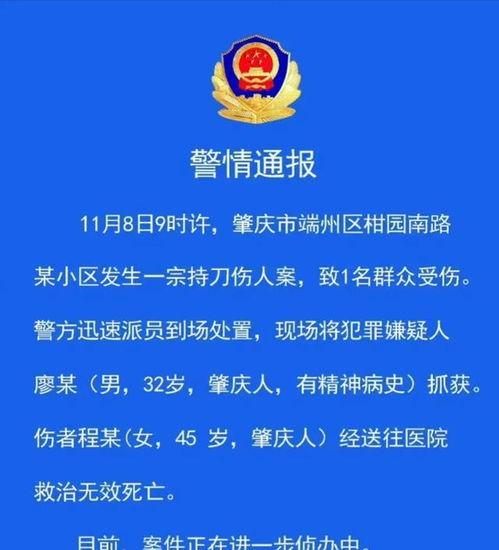 外网爆料犯罪案例最新,外网揭露最新犯罪案例，罪行触目惊心！  第3张