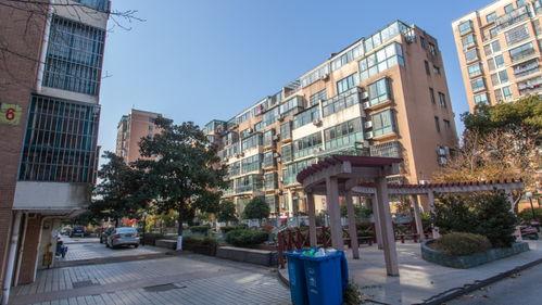 灵寿悦城小区爆料视频最新