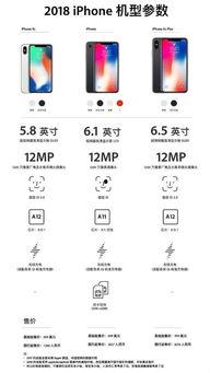 苹果价格最新爆料图今天,行情波动,市场动态一览 第2张 苹果价格最新爆料图今天,行情波动,市场动态一览 第2张