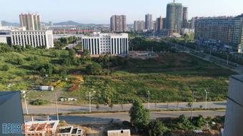 祁阳爆料最新消息,最新热点事件深度解析  第3张