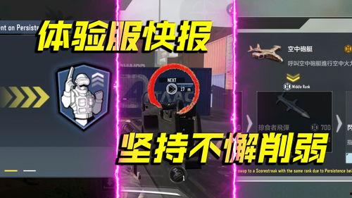 codm体验服最新爆料