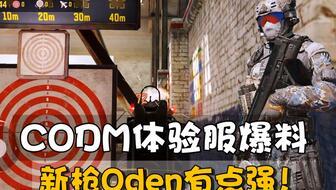 codm体验服最新爆料  第2张