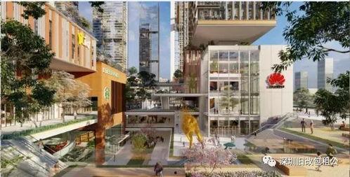 深圳宝安最新爆料,最新爆料揭示深圳宝安发展新篇章