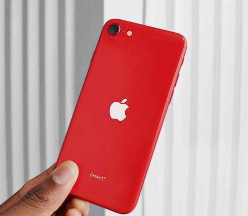 苹果se三代最新爆料,性能升级,设计革新,价格揭晓! 第3张 苹果se三代最新爆料,性能升级,设计革新,价格揭晓! 第3张