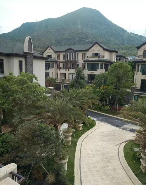 向往4最新爆料下载地址,独家揭秘节目精彩瞬间！  第3张