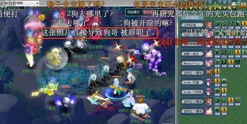 梦幻西游二狗爆料最新视频,揭秘游戏内幕与未来动向