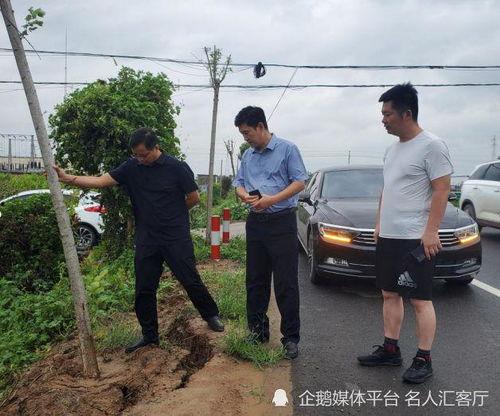 杞县圉镇车祸最新爆料,悲剧现场细节披露，伤亡情况引关注  第3张