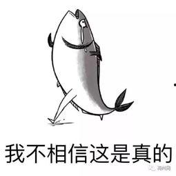 咸鱼之王战令爆料最新,全新内容抢先看，战力飙升新篇章  第3张