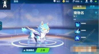 飞车手游最新宠物爆料,神秘力量觉醒，速度与激情再升级！