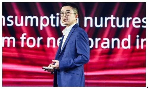 阿里巴巴蒋凡最新爆料,阿里巴巴最新战略布局与行业洞察