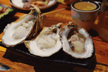 吃货大爆料最新,吃货大爆料带你领略舌尖上的中国  第3张