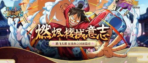 国风路飞最新技能爆料