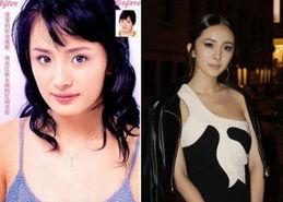 杨幂娱乐圈最新爆料图片,娱乐圈风云再起，女神杨幂再掀热议狂潮！  第3张