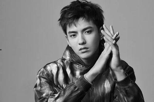 吴亦凡最新爆料,娱乐圈背后的惊人真相  第3张