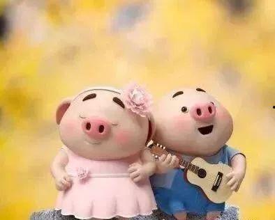 猪婆老公最新爆料图片,最新辣图大揭秘！  第3张