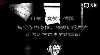 最新正能量爆料官网视频,官网视频揭示最新暖心瞬间 第3张 最新正能量爆料官网视频,官网视频揭示最新暖心瞬间 第3张